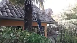 Reparación de techo de teja chilena en La Reina Alto — foto 2